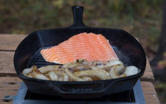 דיאטת חלבונים